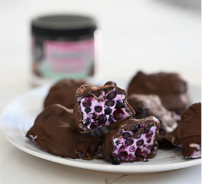 No Bake Chocolate & Blueberry Yogurt Bites